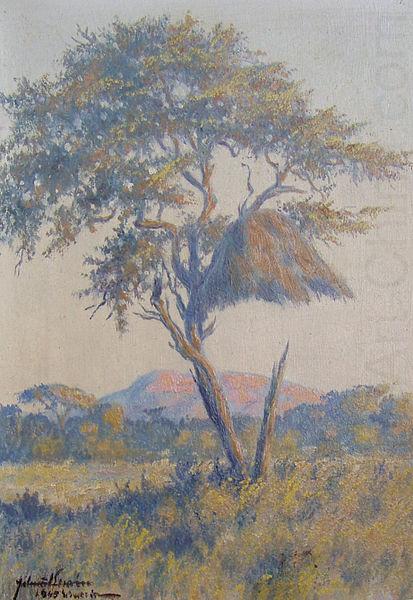 Landscape in Namibia, unknow artist